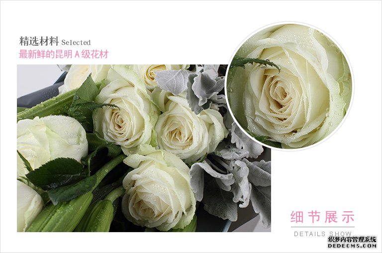 INDUSTAR镜头——日韩精品无码中文字幕第一区，历史的痕迹，摄影的艺术革新者