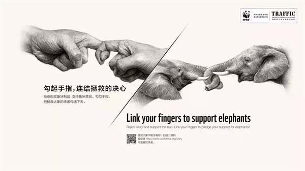 克镜头思思99re6国产在线播放，探索科技与艺术的交汇点，揭示未知世界的微观魅力
