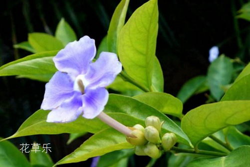 相机镜头能用酒精擦日韩a片无码毛片免费看小说，相机镜头能用酒精擦？专业解析镜头清洁的正确之道