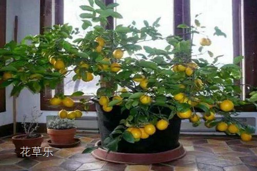 带避孕套日韩a片无码毛片免费看小说，现代生活中的理智选择与重要性
